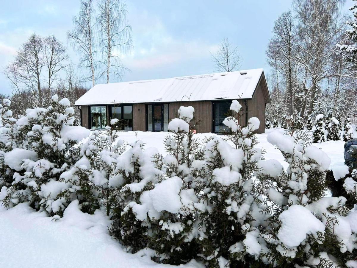 Paerli Puhkemaja / Pearl Riverside House Pudisoo エクステリア 写真