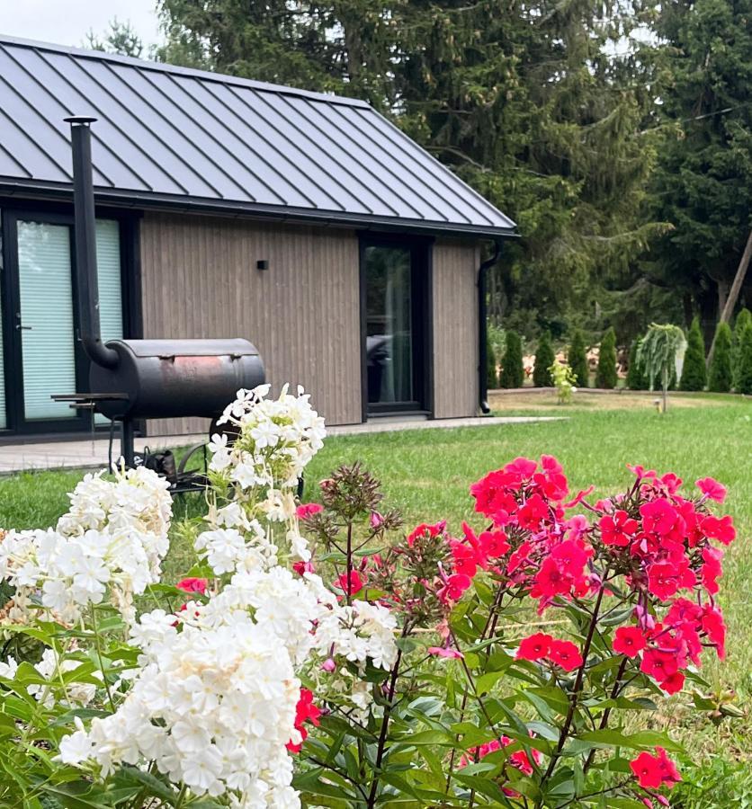 Paerli Puhkemaja / Pearl Riverside House Pudisoo エクステリア 写真